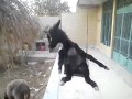 Туда сюда обратно тебе и мне приятно 