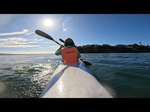 First paddles - Fenn XT double