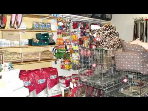 Hondenkennel Sint-Amands, honden Mechelen -Rashonden Amandus