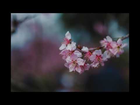 Alexis Ashley "Tomorrow" [Thomas Gold Remix]