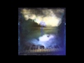 Owls of the Swamp - The Hypnotist 