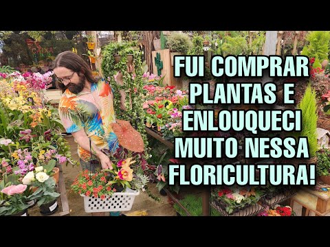ACHO que EXAGEREI COMPRANDO PLANTAS e SUCULENTAS nessa floricultura