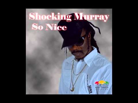 SO NICE THE BRAND NEW SINGLE FROM SHOCKING MURRAY!