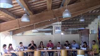 PLE MUNICIPAL 31 DE JULIOL DE 2019