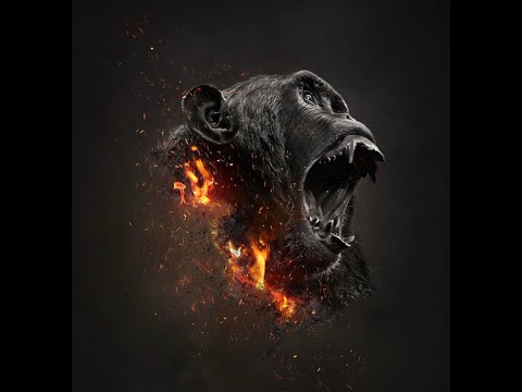 INTRO EIGHT6TR4Y x KiLLBiLL -  (official video)