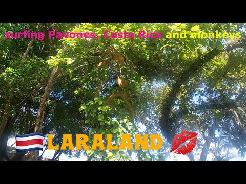 Surfing Pavones, Costa Rica, and Monkeys!