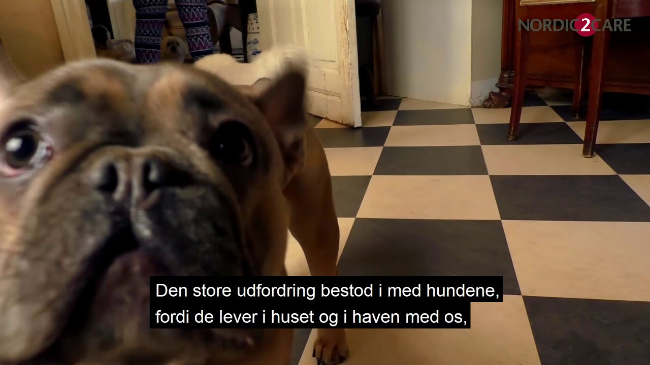 Nordic2Care Hundehotellet