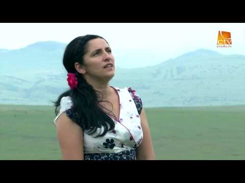 Ani Rogojan - Pe căi de raze