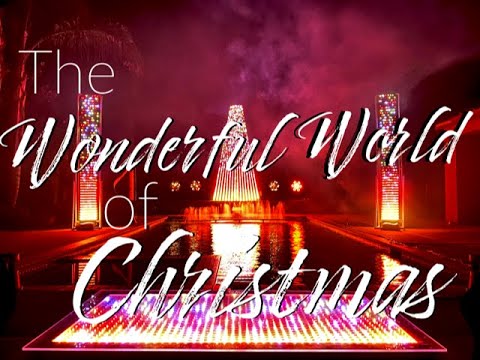 Featured on ABC's The Great Christmas Light Fight! Clarksburg Lights Backyard Nighttime Spectacular