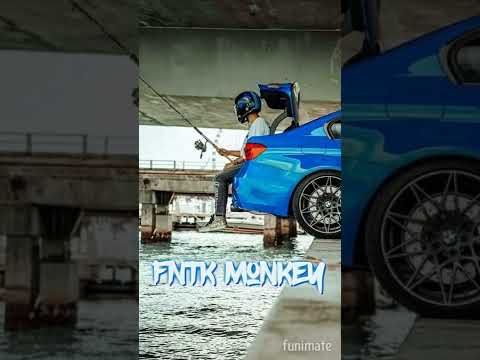 cardi b rmx zouk fntk monkey 329