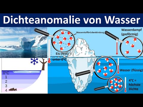 Water density anomaly [Importance for lake life] - [Biology, Middle and High School]