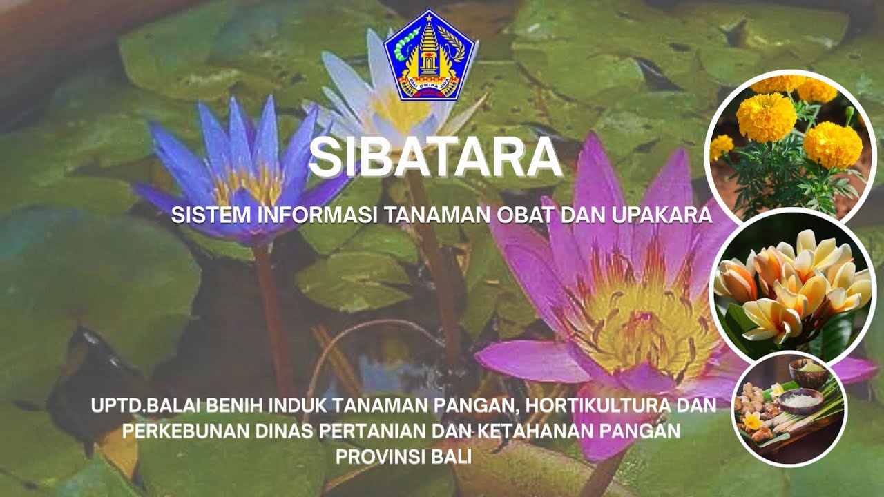 SIBATARA