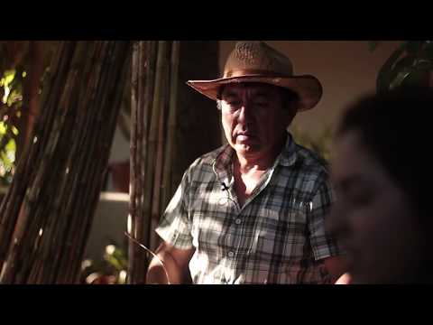 Origen Natural - Quinta de Tilcoco