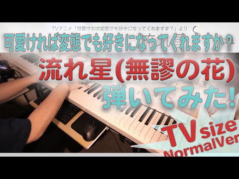 Kawaikereba Hentai demo Suki ni Natte Kuremasu ka? Nagareboshi Mia REGINA