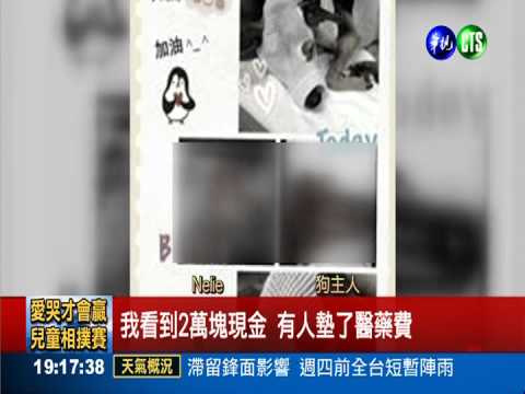 愛犬走失遭削臉 好心人募捐救狗