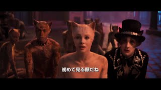実写映画版『キャッツ』来年1月日本公開! mqdefault - 実写映画版『キャッツ』来年1月日本公開!