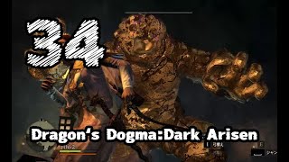 #34【Dragon's Dogma: Dark Arisen】メタルゴーレム厄介すぎ【左腕のボスぬこ】
