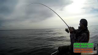 Обское море рыбалка рыба