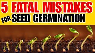 5 FATAL ERRORS:  Why Your Seeds Will Fail Or Never Germinate