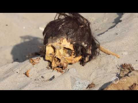 СЛЕДЫ ДРЕВНИХ ЦИВИЛИЗАЦИЙ (часть 2) - 'УДЛИНЕННЫЕ ЧЕРЕПА', 'КАМНИ ИКИ' (HD)