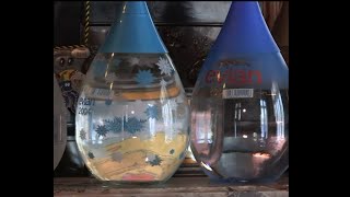 Thumbnail del capítulo