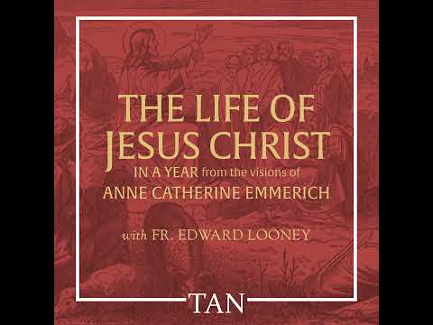 Day 258: Jesus Sees Every Sin of Eternity