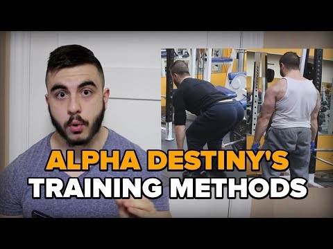 Alpha Destiny's Training Methods - What We Can Learn
