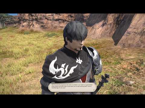 [PC] FFXIV 4.0 - Paladin Lv68 - Fade to Black Lotus