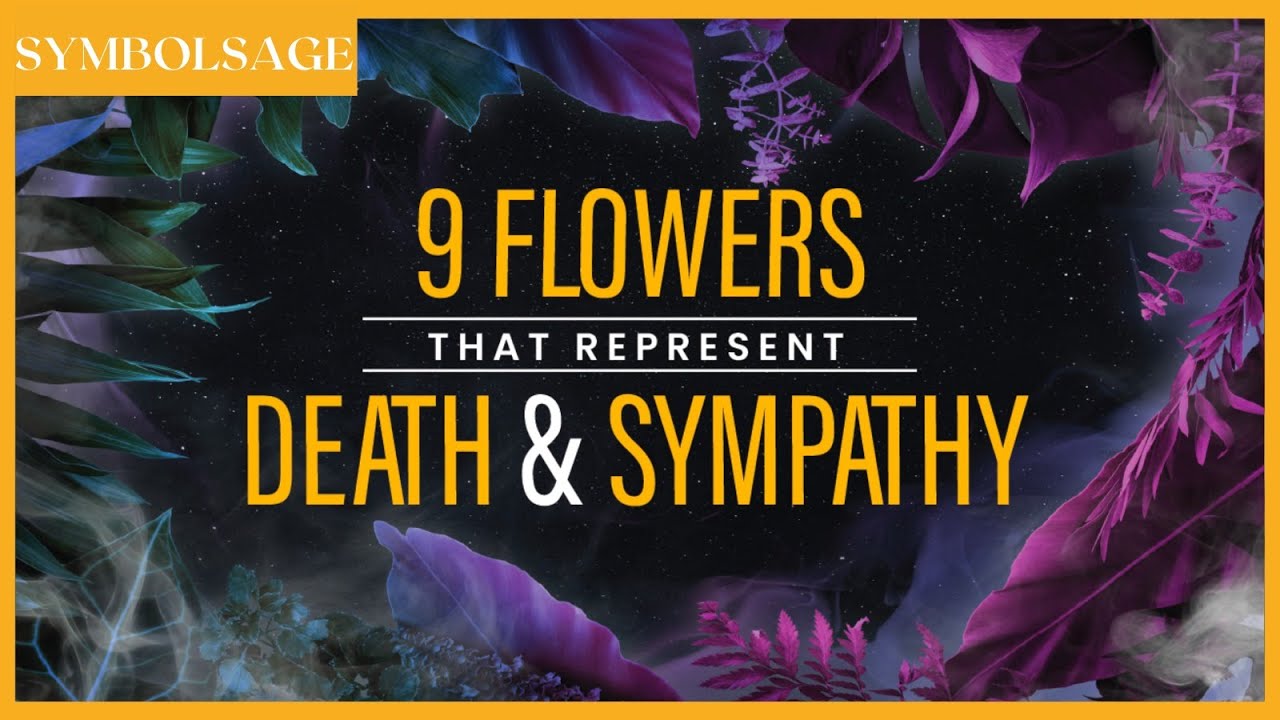 9 Flowers that Represent Death & Sympathy | SymbolSage