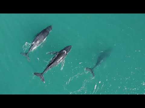 Der Atem der Seele | Tägliche Andacht | 18.3.2021