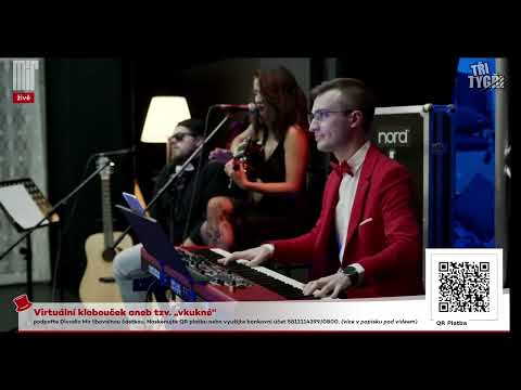 Barbara Kanyzová - Hádanky (Livestream Tři tygři #20)