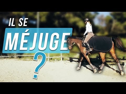 LA POUSSEE DES POSTERIEURS - Ou le B-A-BA de la mise sur la main !