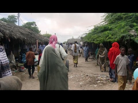 Understanding the Global Community - Failed States