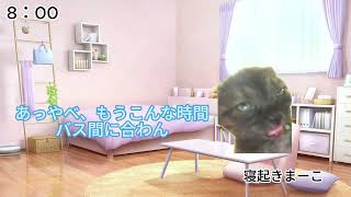 メルヘンまーこの日常