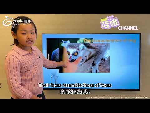 國小中年級英文組冠軍 -2025六福永續獎: 最佳人氣影片