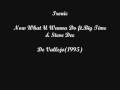 Ironic-Now What U Wanna Do ft Big Time & Steve Dee