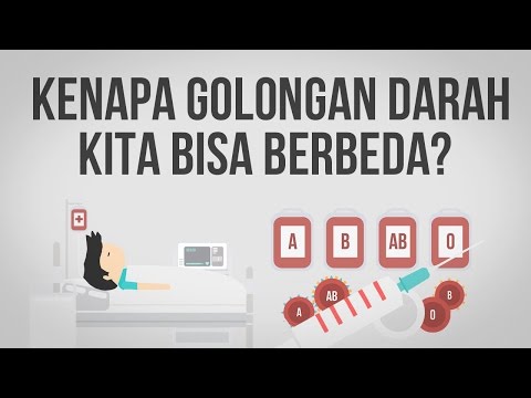Lulus uji dari kelebihan berat badan Adalah mungkin untuk menurunkan berat badan dengan membersihkan hati