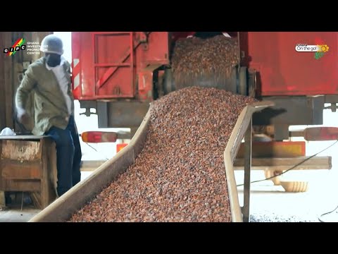 Meet one of the Most Thriving Cocoa Processing Industry in GHANA 🇬🇭 | Plot Enterprise Ltd