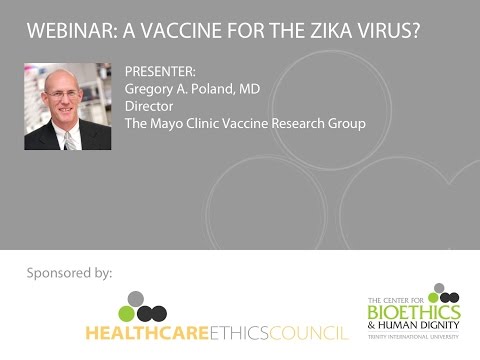 Zika Virus: An Emerging Arbovirus and Current State of Knowledge