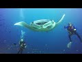 Malediven 2019, M/V Eco Blue, Malediven, Mantas, Schildkröten, Haie