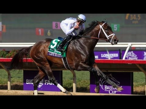 2021 Breeders Cup Dirt Mile (G1) | Life Is Good | Full Race Replay