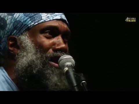 (OFFICIAL) Corey Harris Band @ Accadia Blues - 24/07/2015