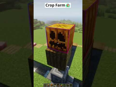 EPIC Minecraft Crop Farm GLITCH! 👀 #shorts