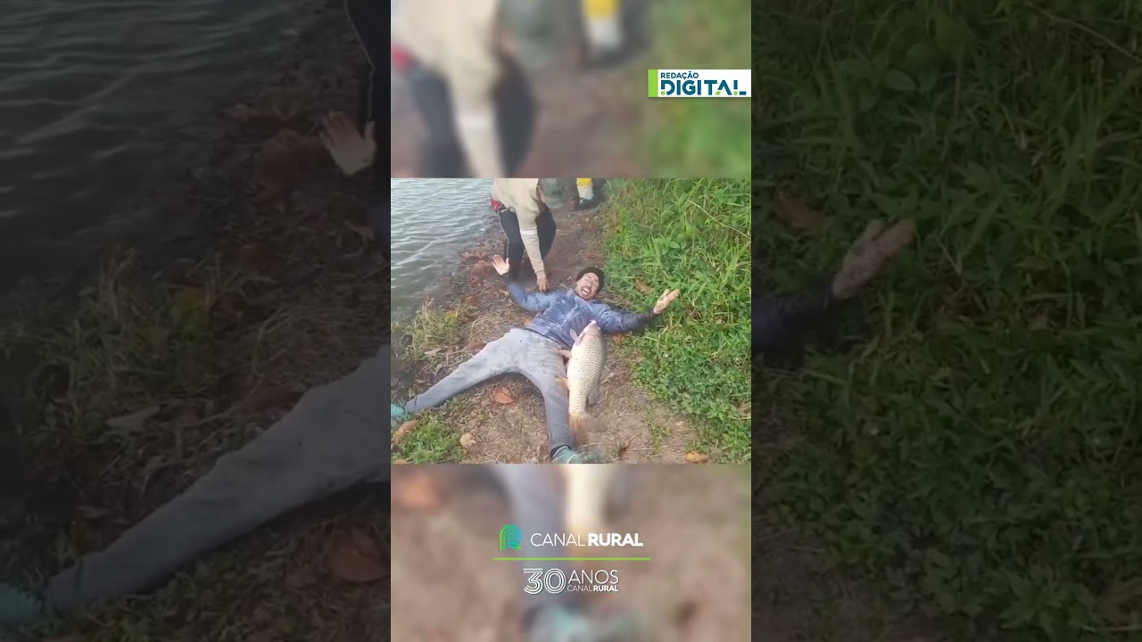 amigos fisgam Carpa gigante  em São Bernardo do Campo