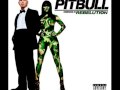 Pitbull - Triumph