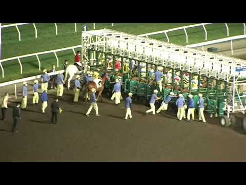 2022 03 30 快活谷 第三場 龍騰飛翔 潘頓