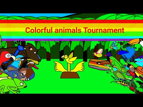 Colourful animals Tournament.