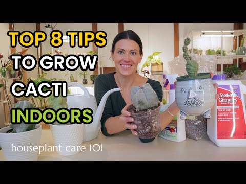 TOP 8 TIPS TO GROW CACTI INDOORS - Cactus House Plant Care 101 - Watering, Soil, Repotting & More