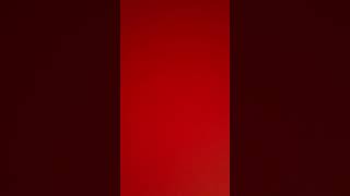 アンザッツ6