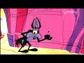 LOONEY TUNES - Roadrunner & Wile E. Coyote (Dynamite)